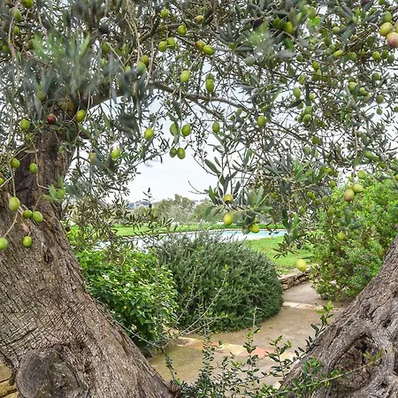 Ferienhaus Beautiful In *